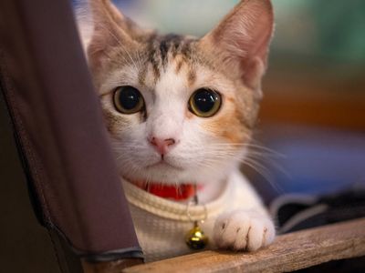 Bottle of water on a bench in a training hall.